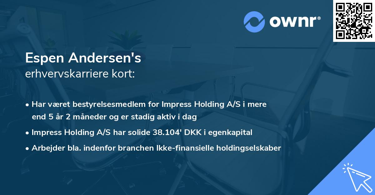 Espen Andersen's erhvervskarriere kort
