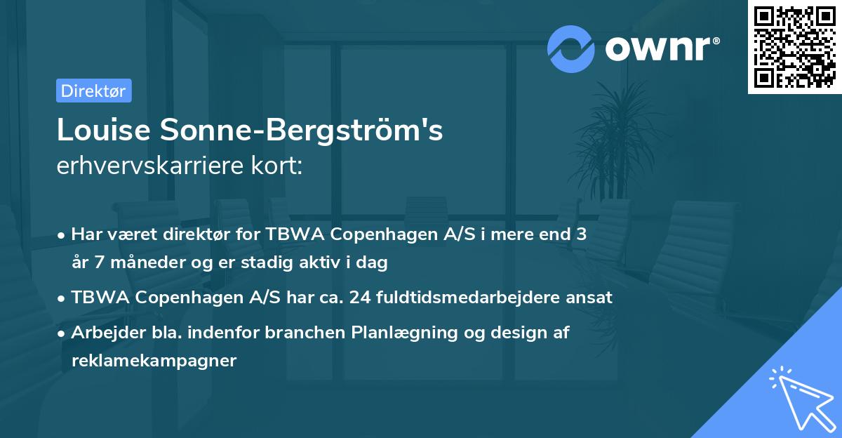 Louise Sonne-Bergström's erhvervskarriere kort
