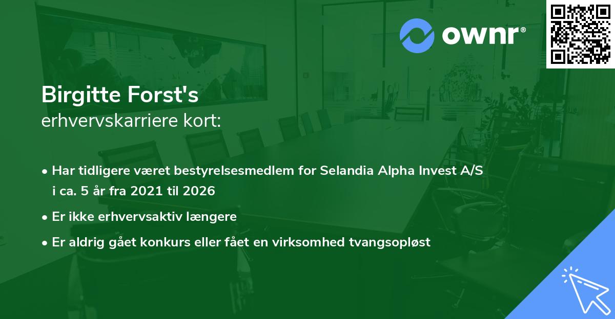 Birgitte Forst's erhvervskarriere kort