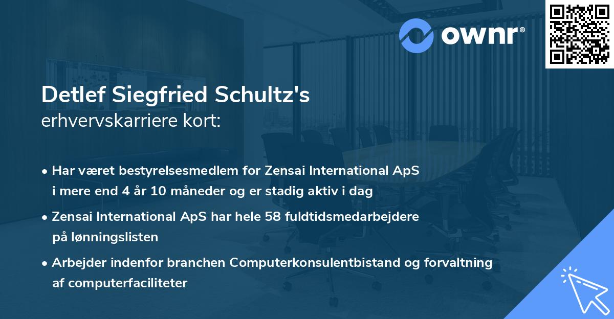Detlef Siegfried Schultz's erhvervskarriere kort