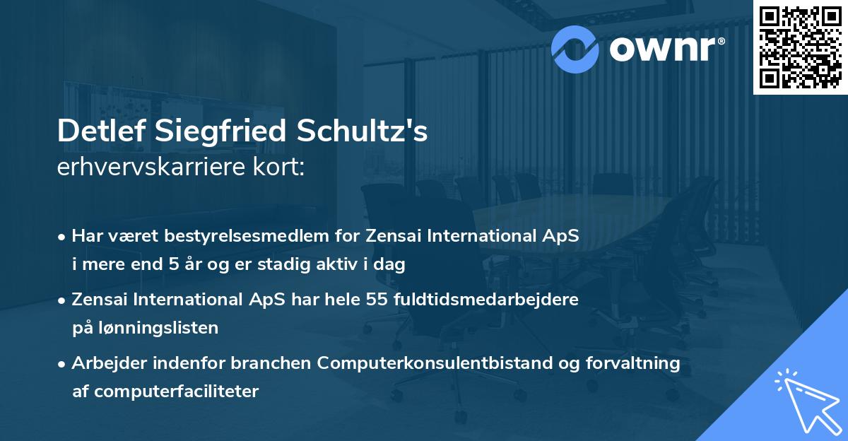 Detlef Siegfried Schultz's erhvervskarriere kort