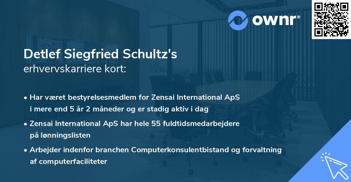 Detlef Siegfried Schultz's erhvervskarriere kort