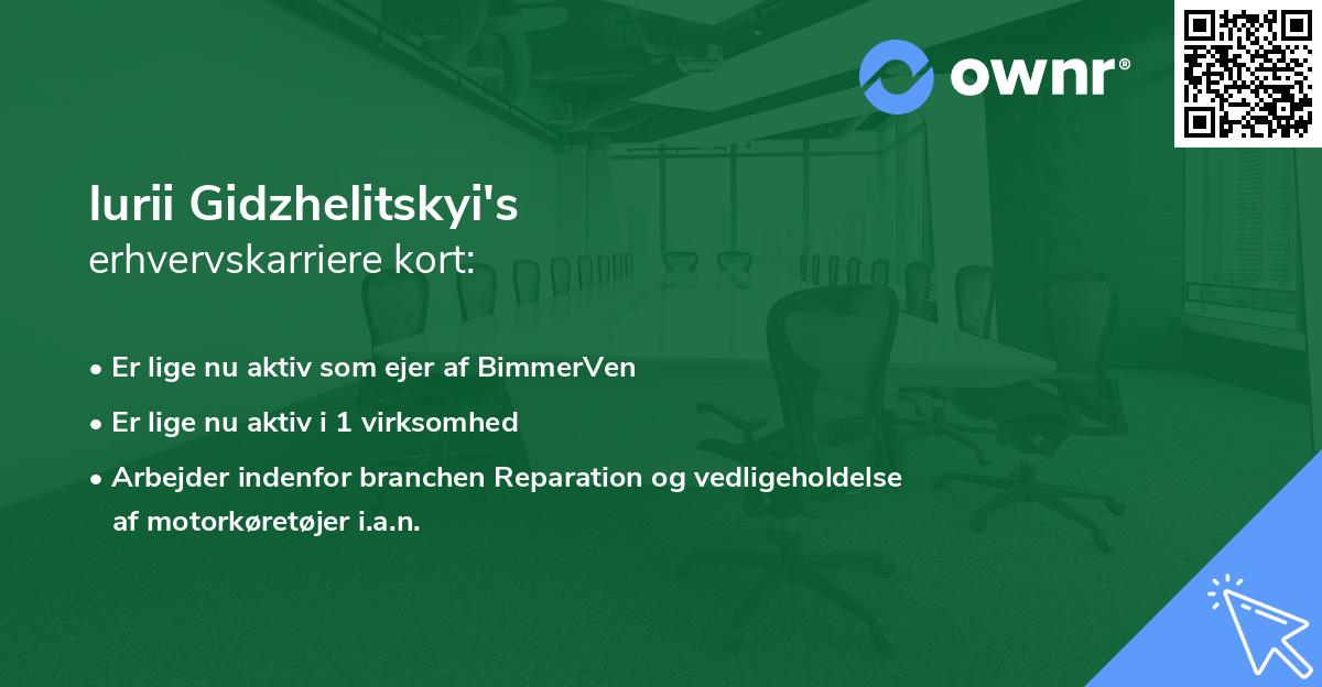 Iurii Gidzhelitskyi's erhvervskarriere kort