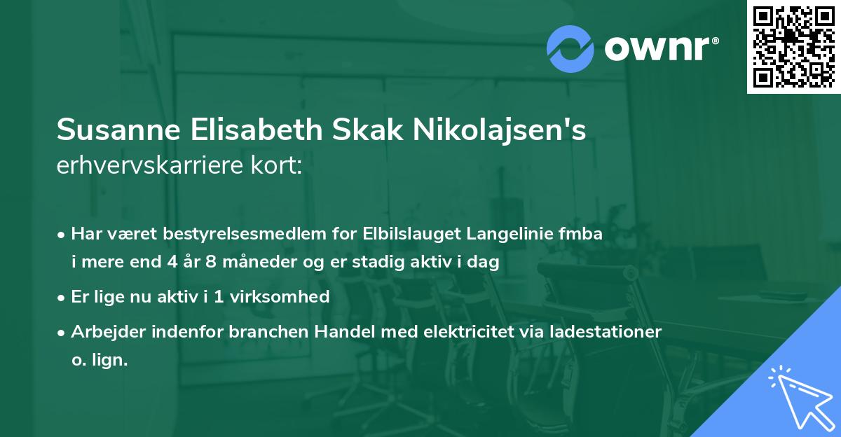 Susanne Elisabeth Skak Nikolajsen's erhvervskarriere kort