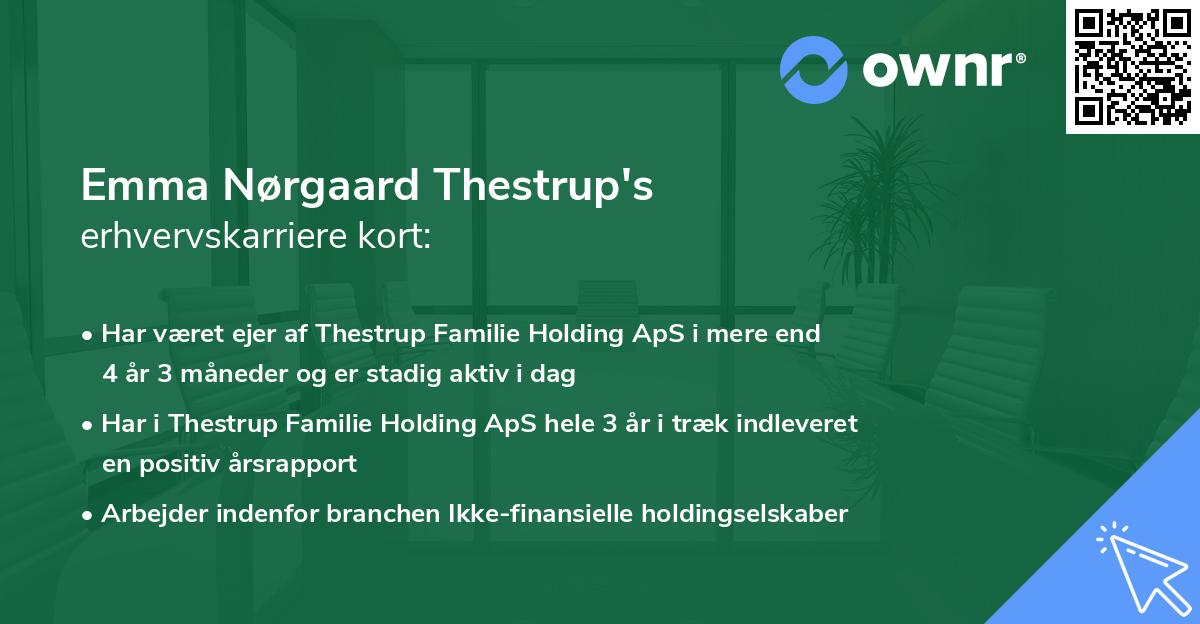 Emma Nørgaard Thestrup's erhvervskarriere kort