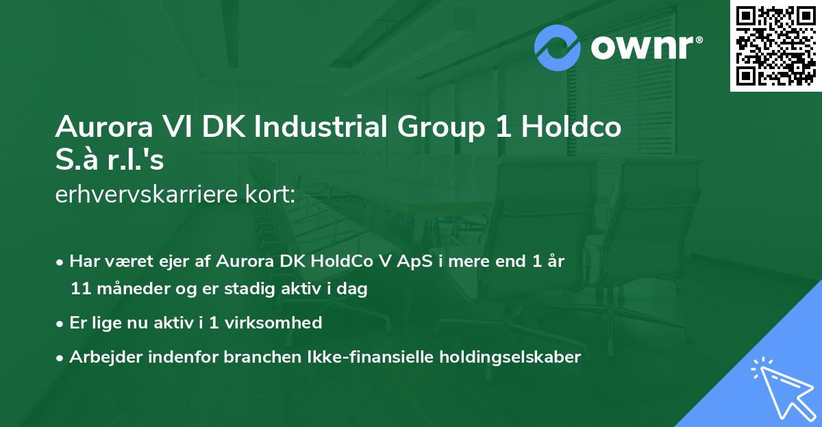 Aurora VI DK Industrial Group 1 Holdco S.à r.l.'s erhvervskarriere kort