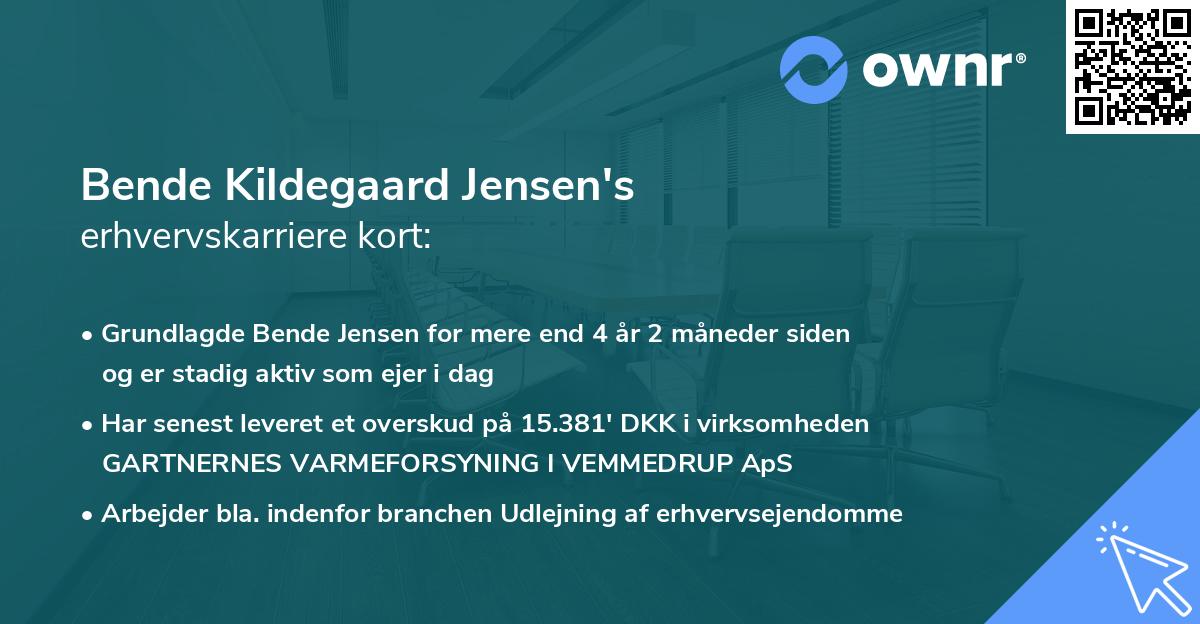 Bende Kildegaard Jensen's erhvervskarriere kort