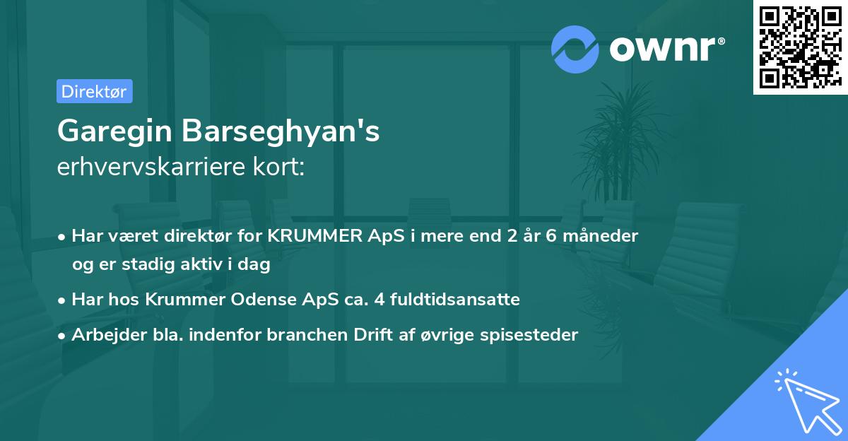 Garegin Barseghyan's erhvervskarriere kort