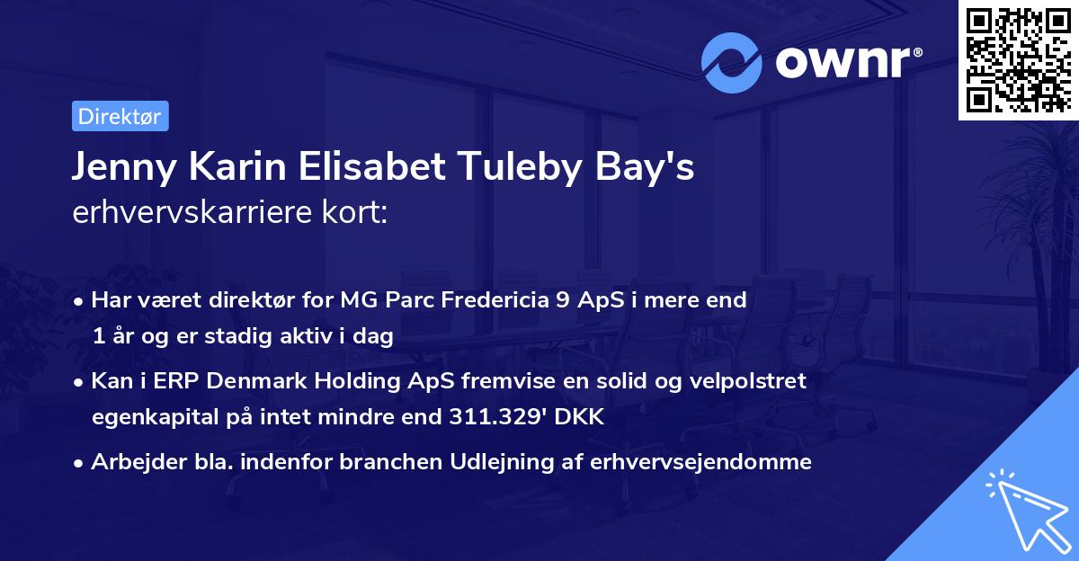 Jenny Karin Elisabet Tuleby Bay's erhvervskarriere kort