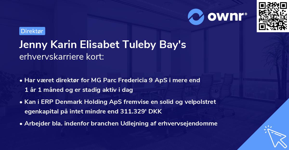Jenny Karin Elisabet Tuleby Bay's erhvervskarriere kort