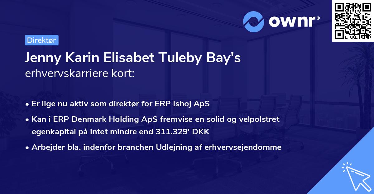 Jenny Karin Elisabet Tuleby Bay's erhvervskarriere kort