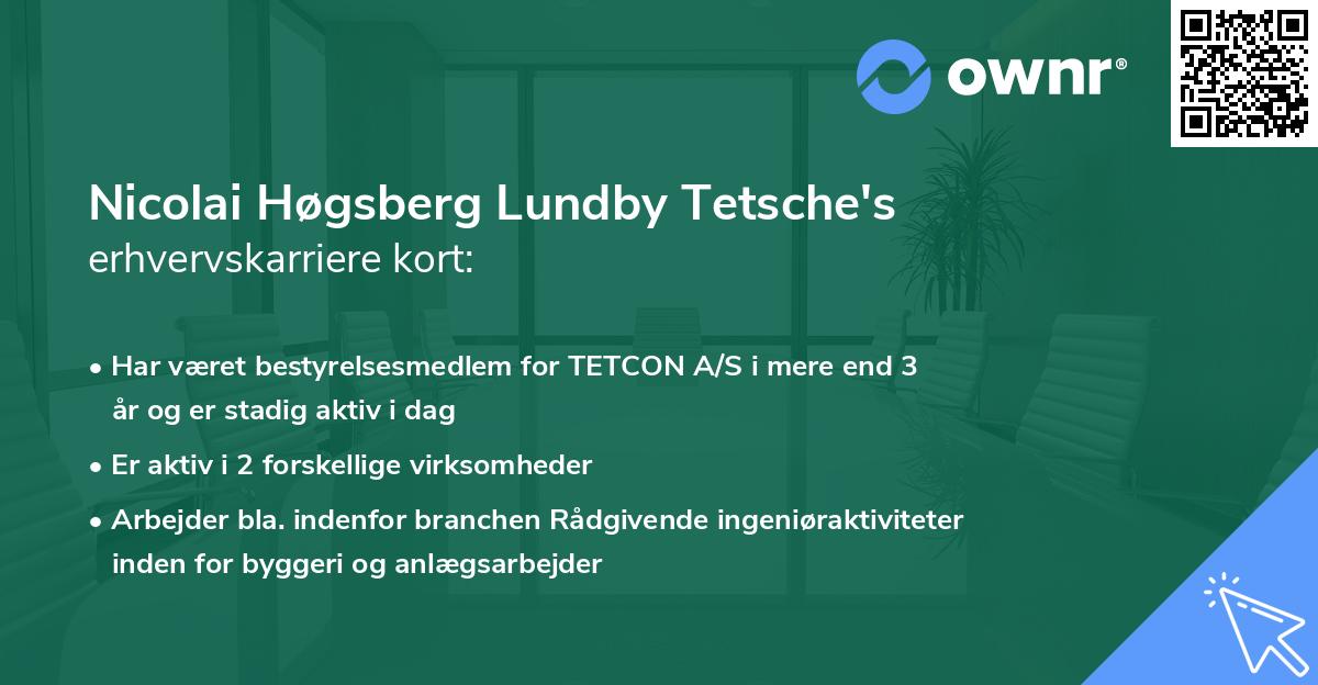 Nicolai Høgsberg Lundby Tetsche's erhvervskarriere kort