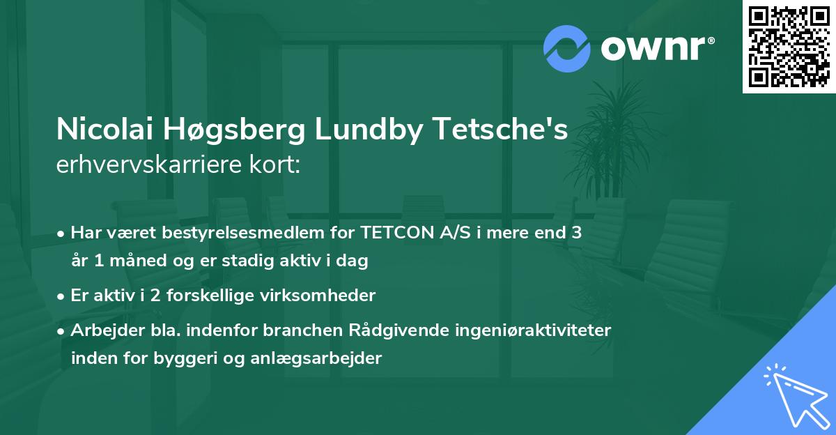 Nicolai Høgsberg Lundby Tetsche's erhvervskarriere kort