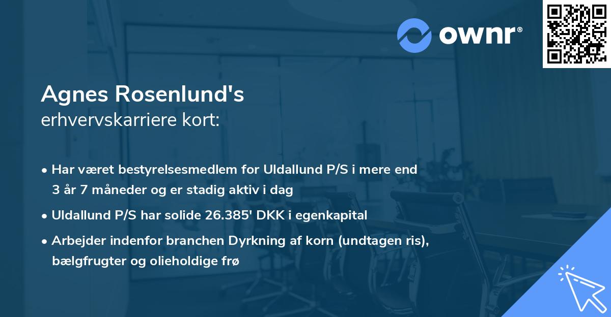 Agnes Rosenlund's erhvervskarriere kort