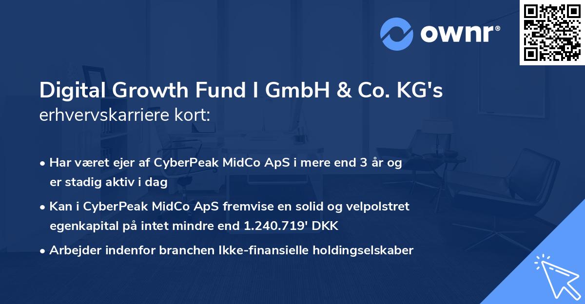Digital Growth Fund I GmbH & Co. KG's erhvervskarriere kort