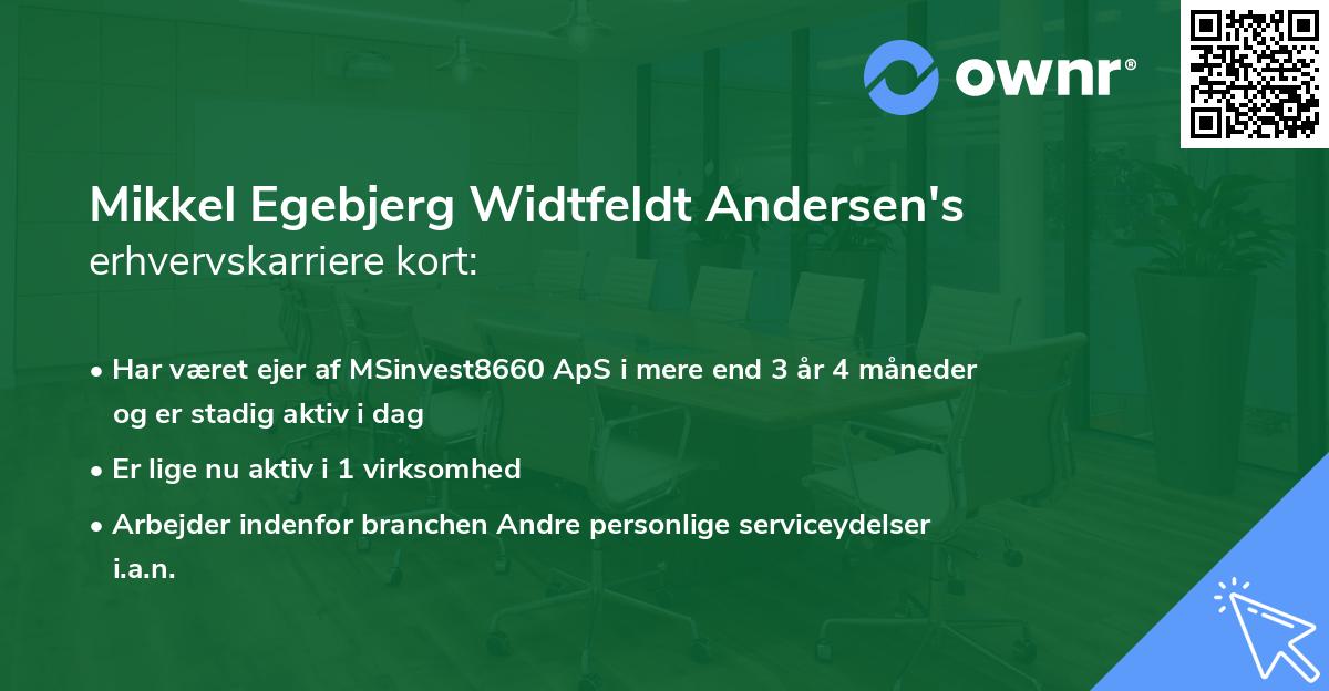 Mikkel Egebjerg Widtfeldt Andersen's erhvervskarriere kort