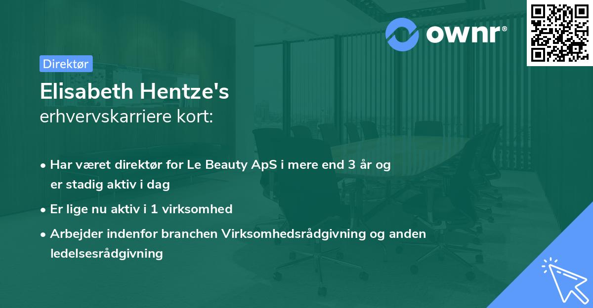 Elisabeth Hentze's erhvervskarriere kort