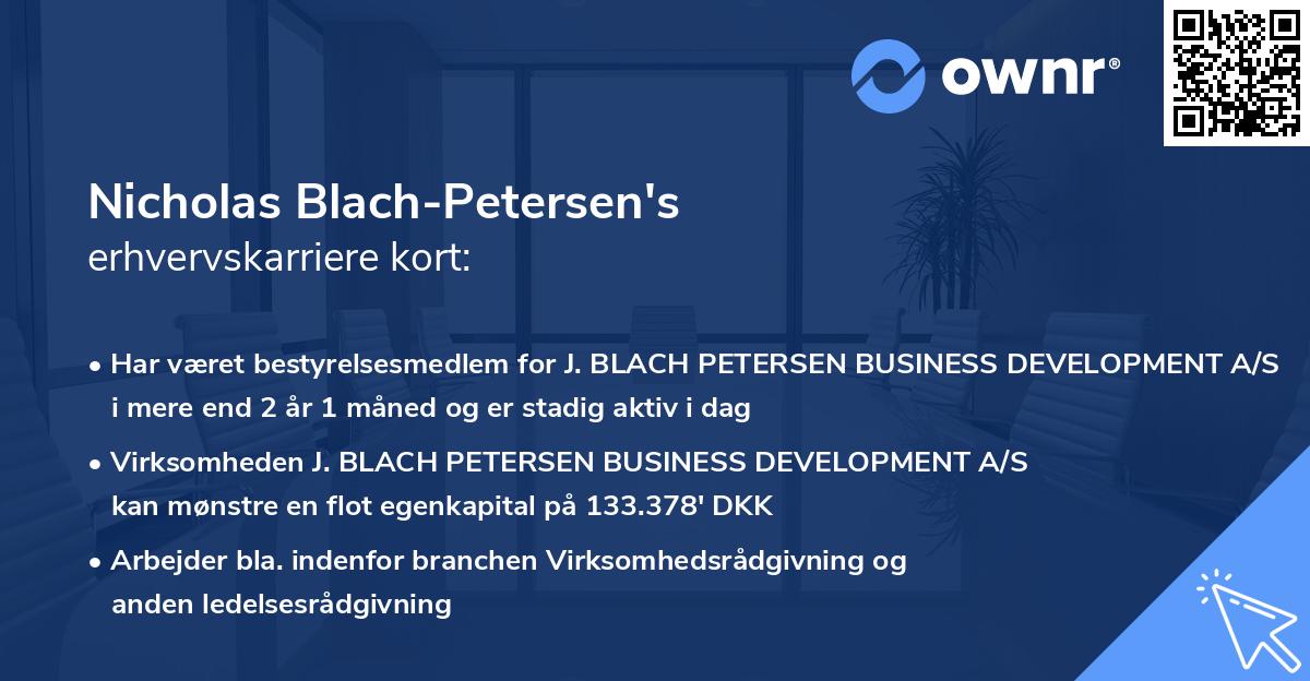 Nicholas Blach-Petersen's erhvervskarriere kort