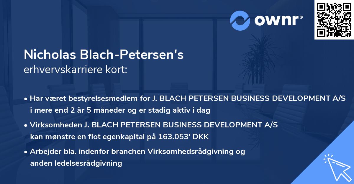 Nicholas Blach-Petersen's erhvervskarriere kort