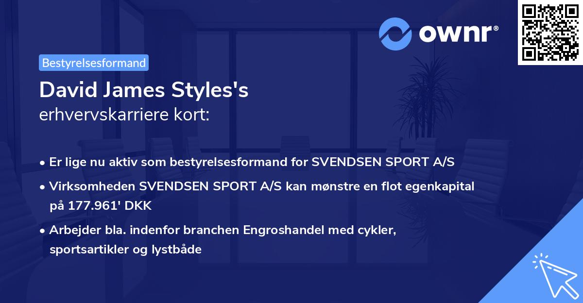 David James Styles's erhvervskarriere kort