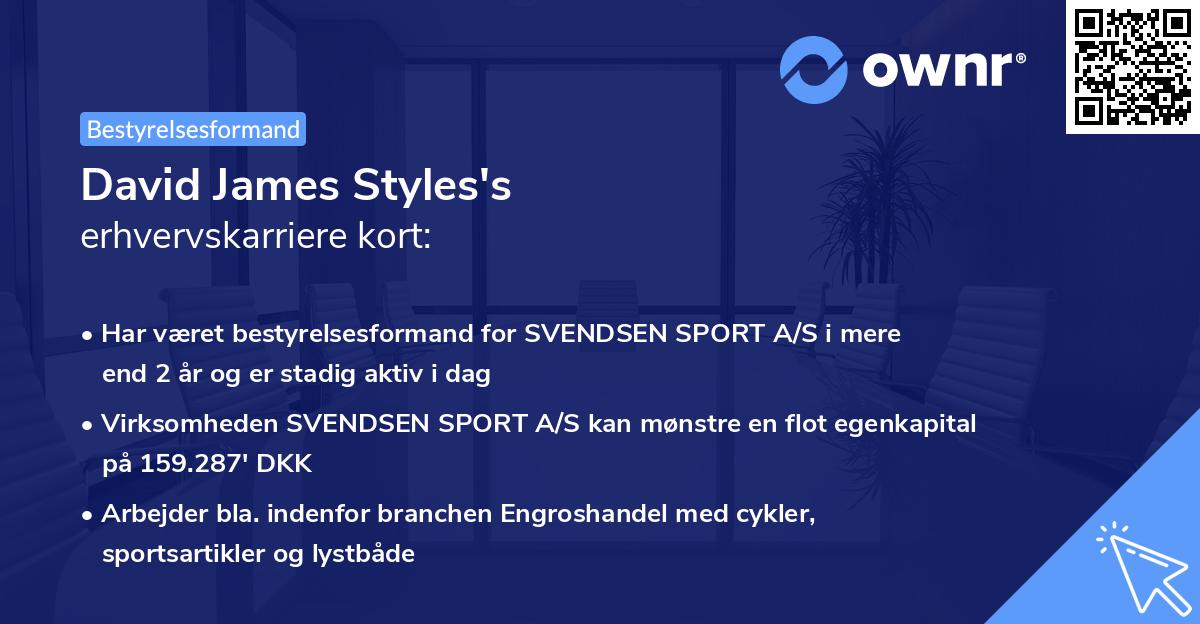 David James Styles's erhvervskarriere kort