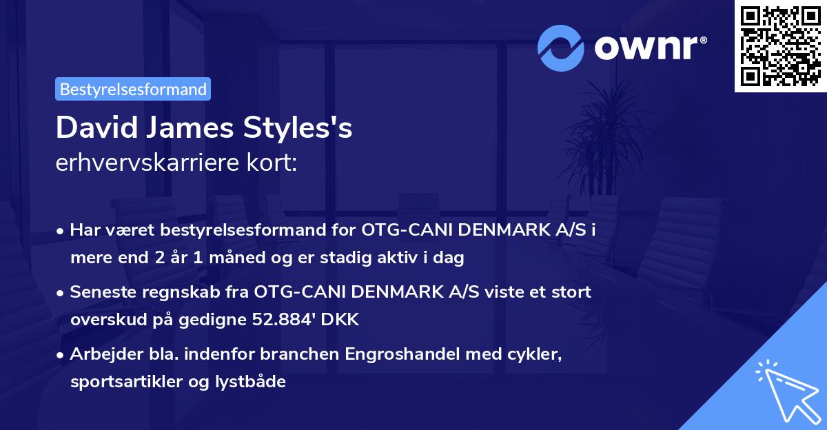 David James Styles's erhvervskarriere kort