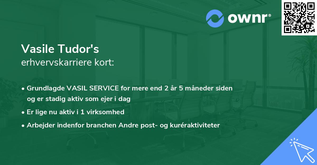 Vasile Tudor's erhvervskarriere kort