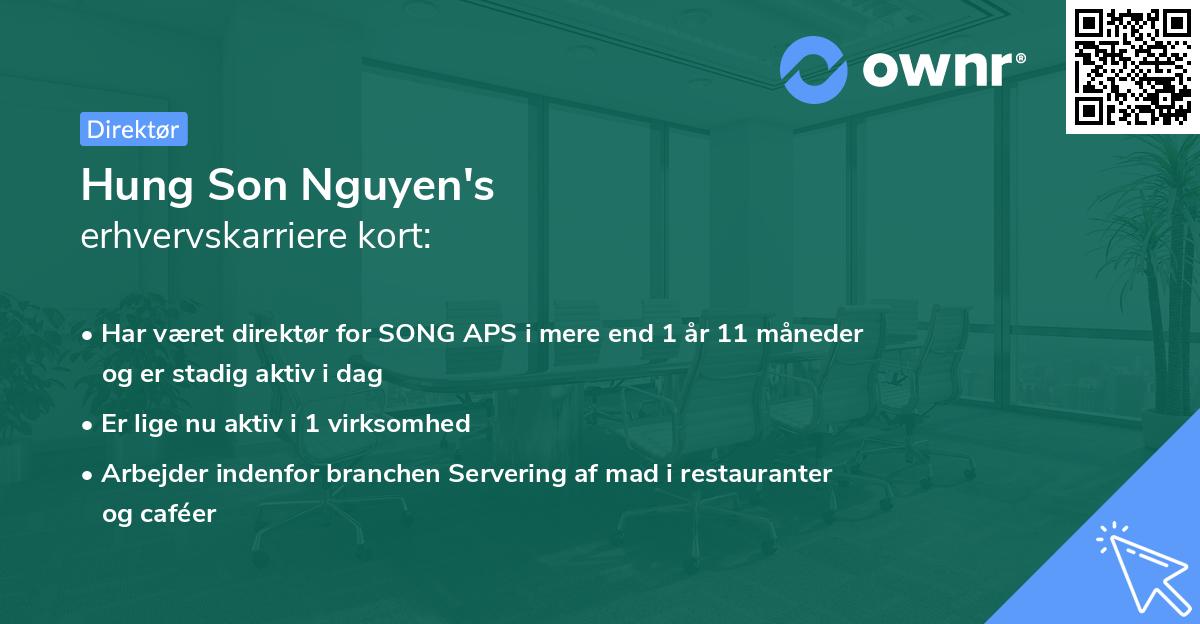 Hung Son Nguyen's erhvervskarriere kort