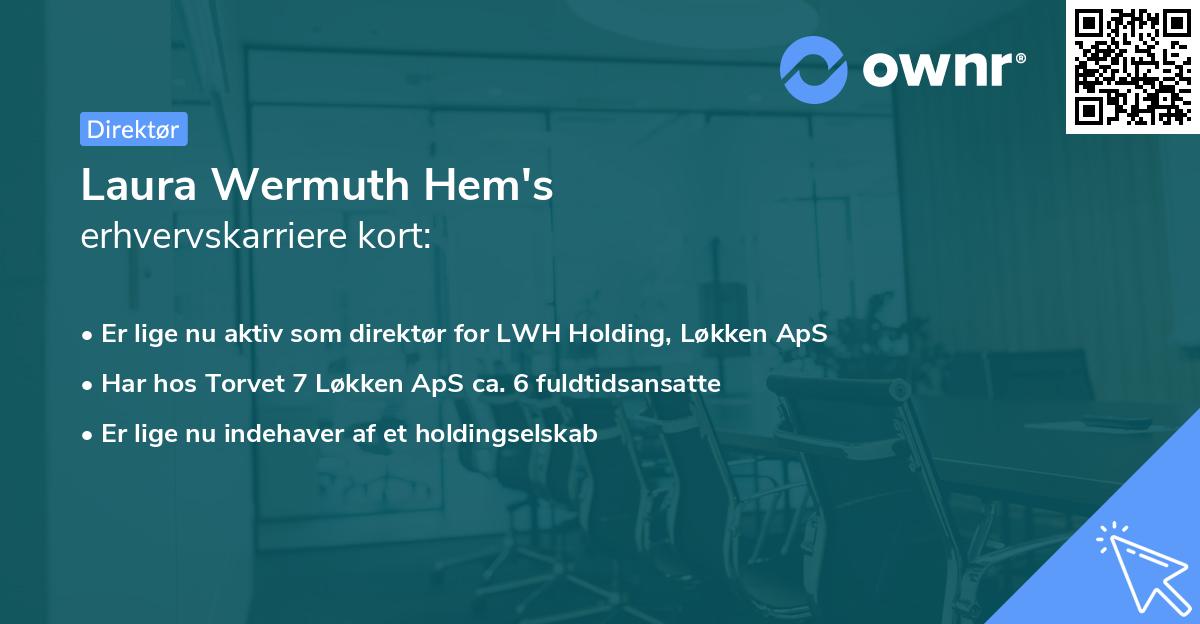 Laura Wermuth Hem's erhvervskarriere kort