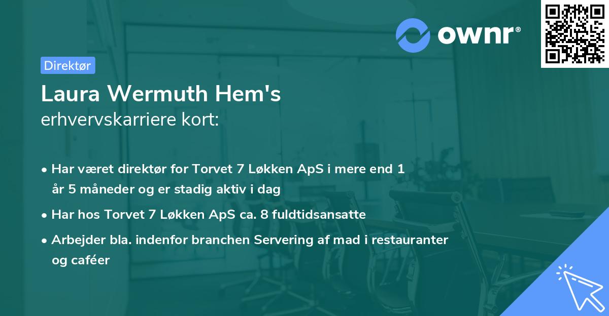 Laura Wermuth Hem's erhvervskarriere kort