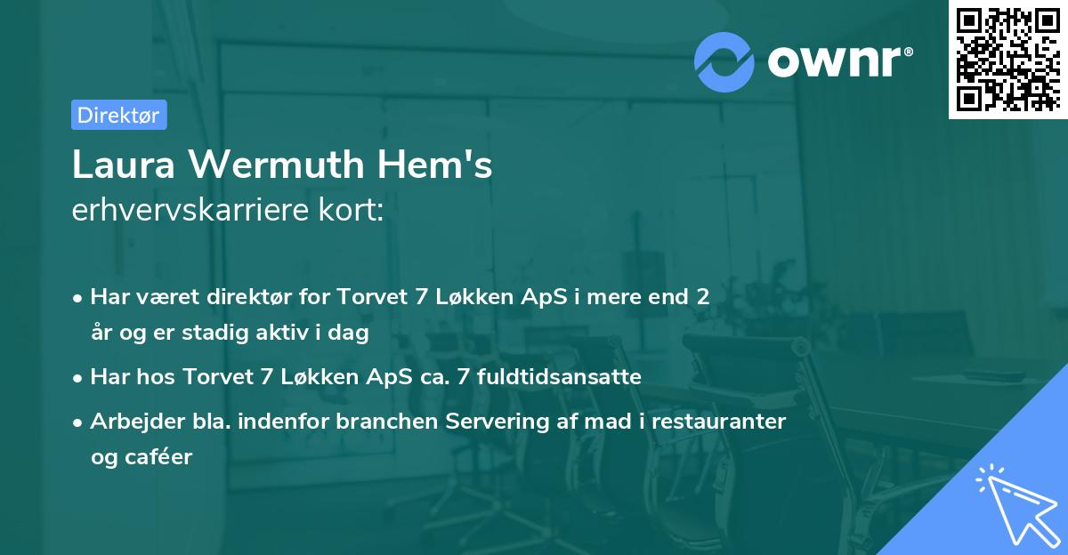 Laura Wermuth Hem's erhvervskarriere kort