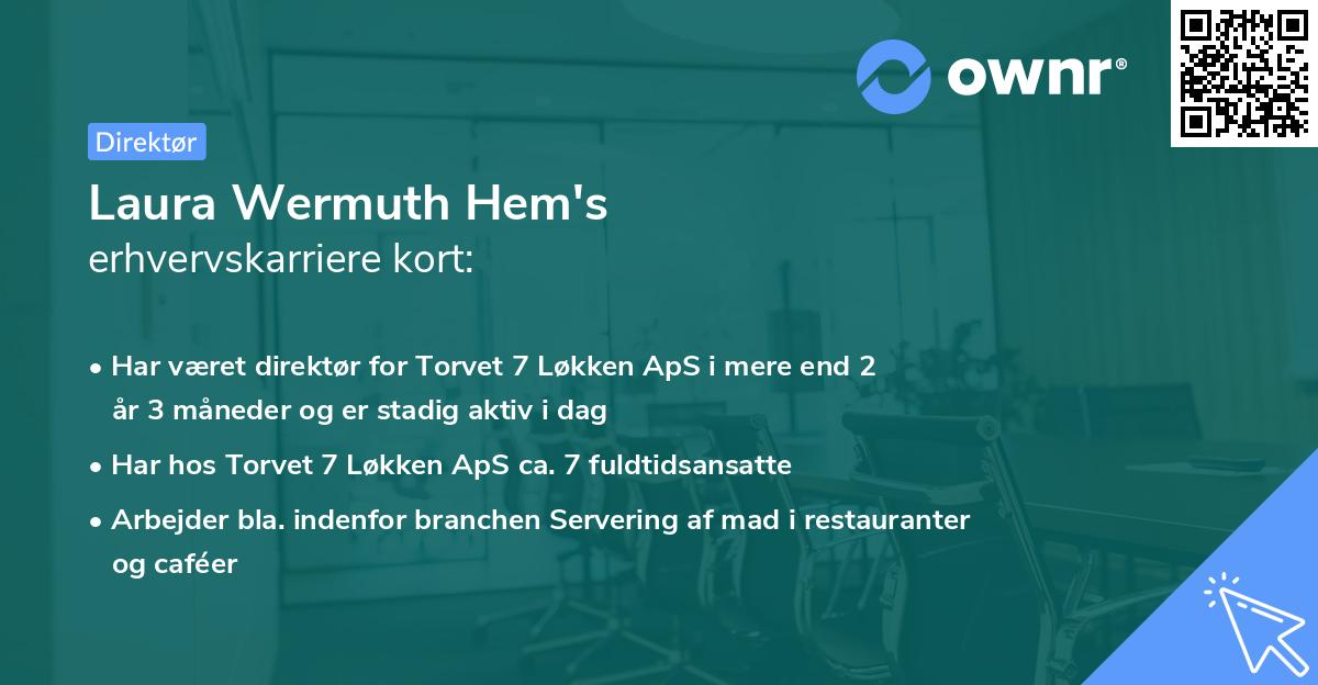 Laura Wermuth Hem's erhvervskarriere kort
