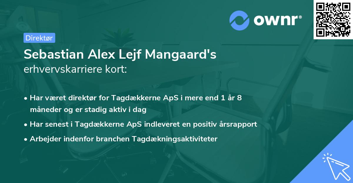 Sebastian Alex Lejf Mangaard's erhvervskarriere kort