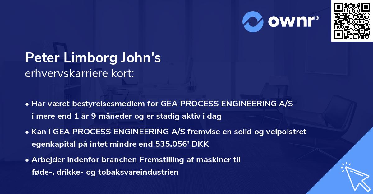 Peter Limborg John's erhvervskarriere kort