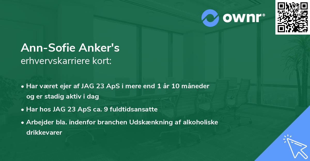 Ann-Sofie Anker's erhvervskarriere kort