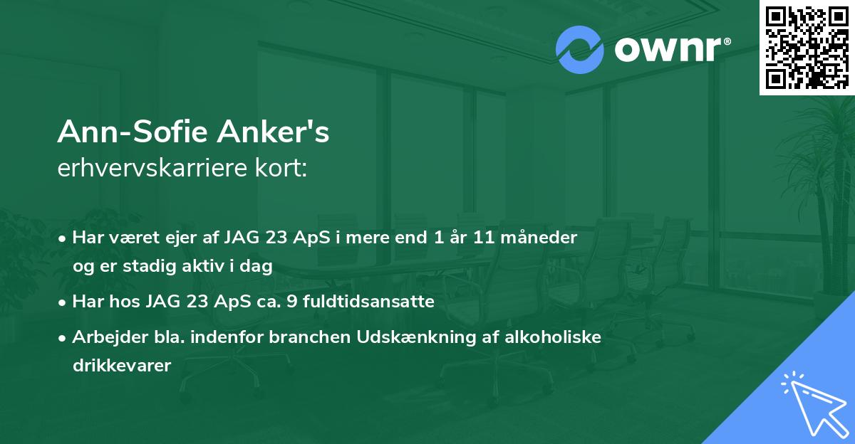 Ann-Sofie Anker's erhvervskarriere kort