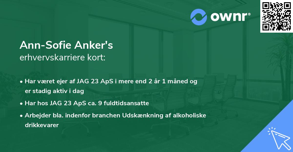 Ann-Sofie Anker's erhvervskarriere kort