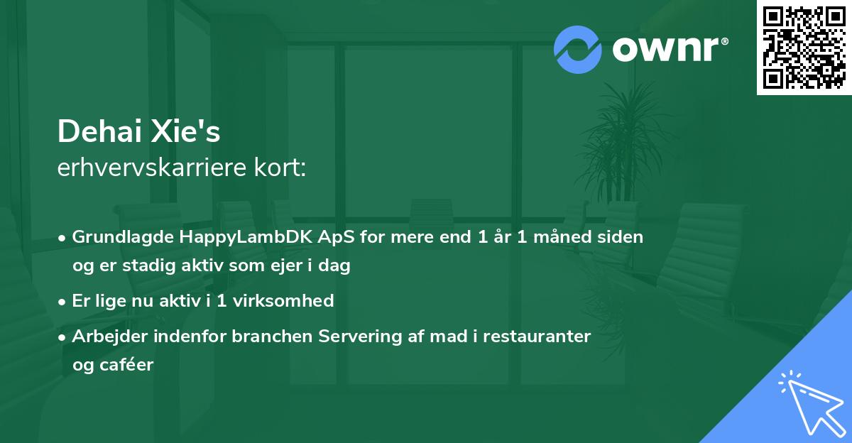 Dehai Xie's erhvervskarriere kort