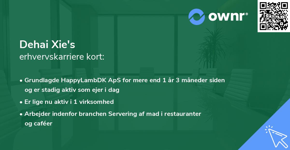 Dehai Xie's erhvervskarriere kort