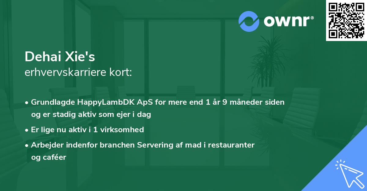 Dehai Xie's erhvervskarriere kort