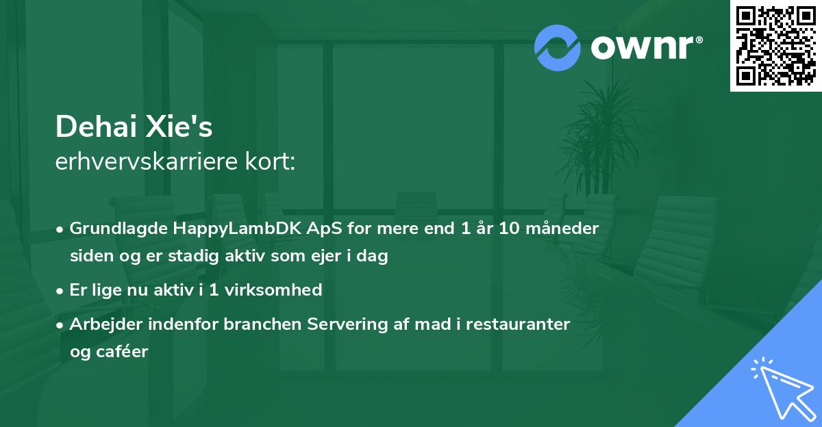 Dehai Xie's erhvervskarriere kort