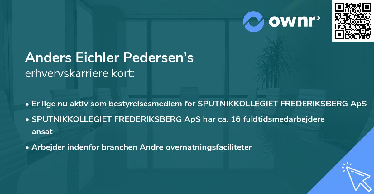 Anders Eichler Pedersen's erhvervskarriere kort