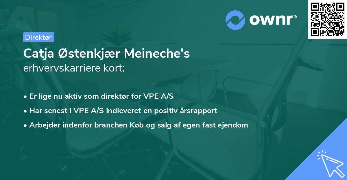 Catja Østenkjær Meineche's erhvervskarriere kort