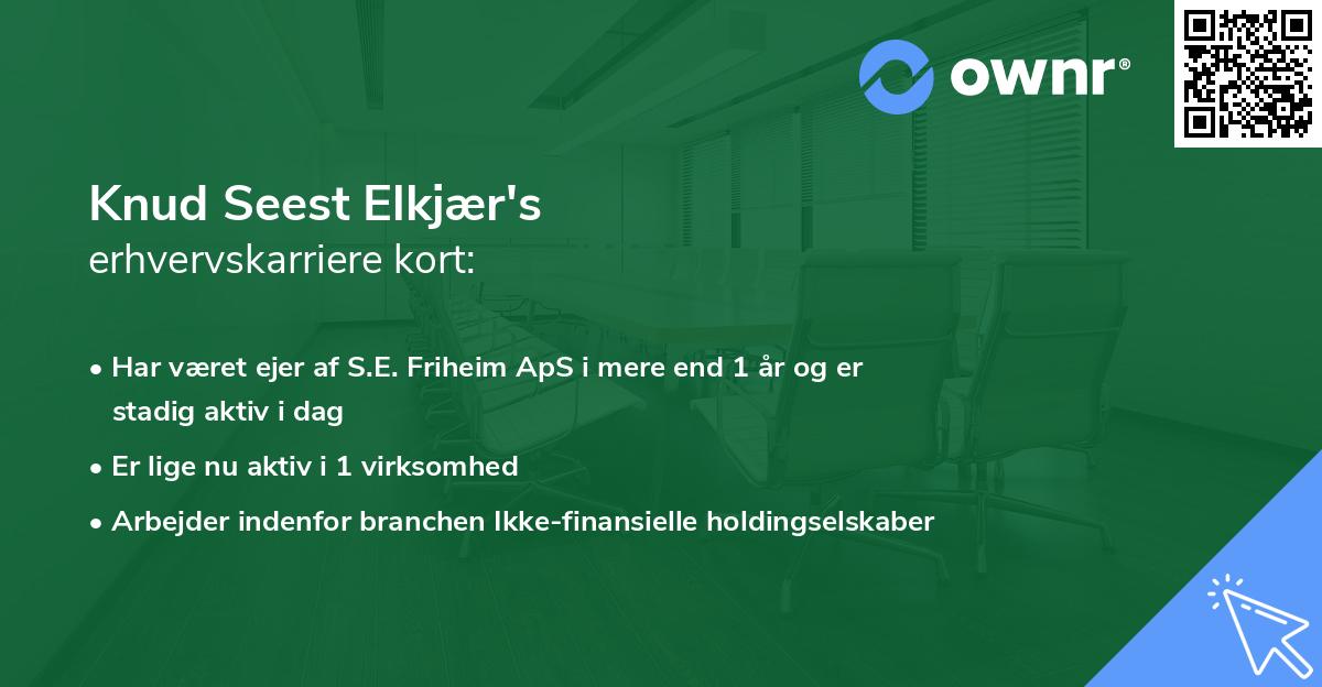 Knud Seest Elkjær's erhvervskarriere kort