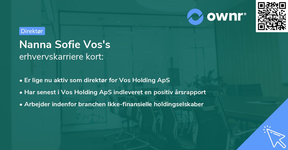 Nanna Sofie Vos's erhvervskarriere kort
