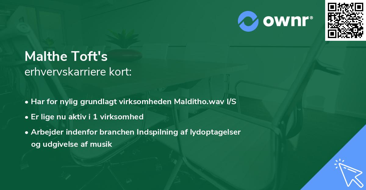 Malthe Toft's erhvervskarriere kort