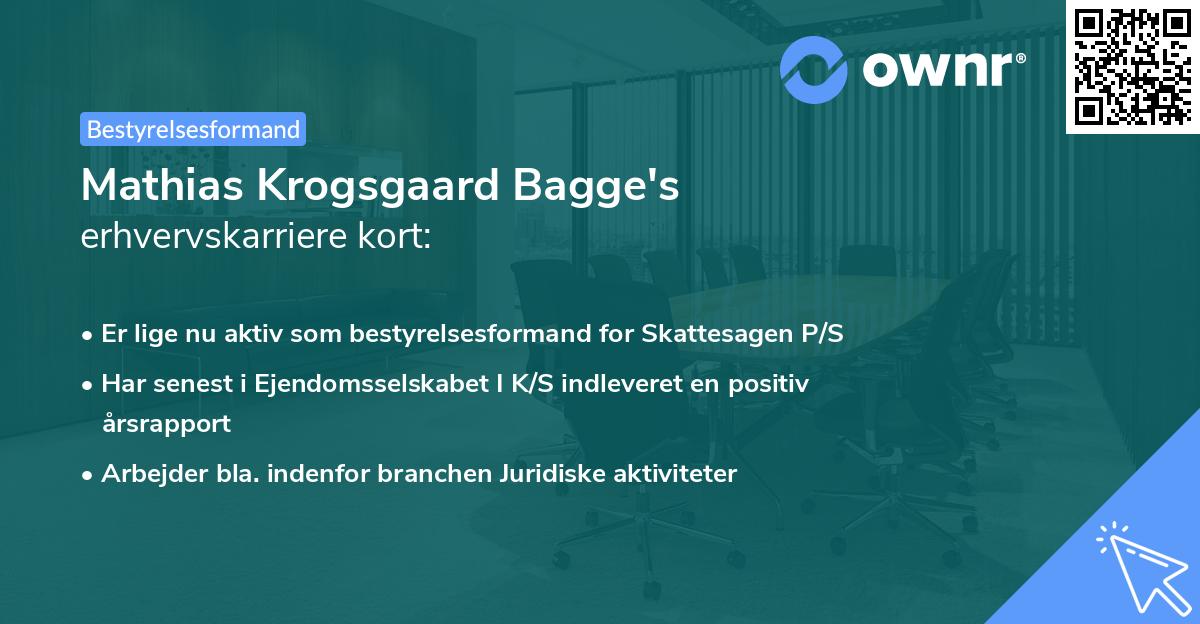 Mathias Krogsgaard Bagge's erhvervskarriere kort