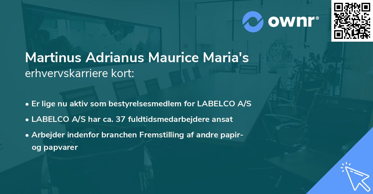 Martinus Adrianus Maurice Maria's erhvervskarriere kort