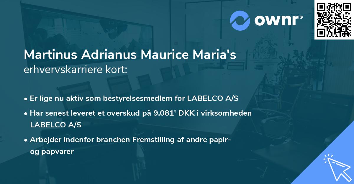 Martinus Adrianus Maurice Maria's erhvervskarriere kort