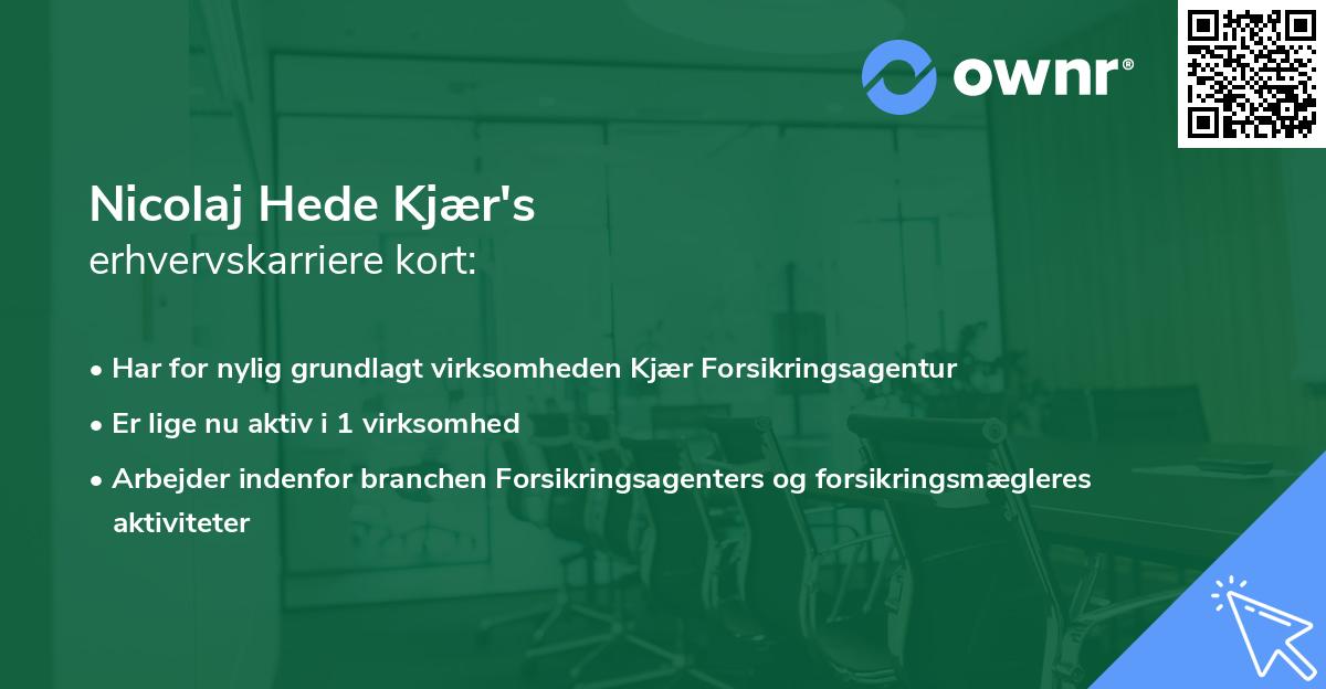 Nicolaj Hede Kjær's erhvervskarriere kort